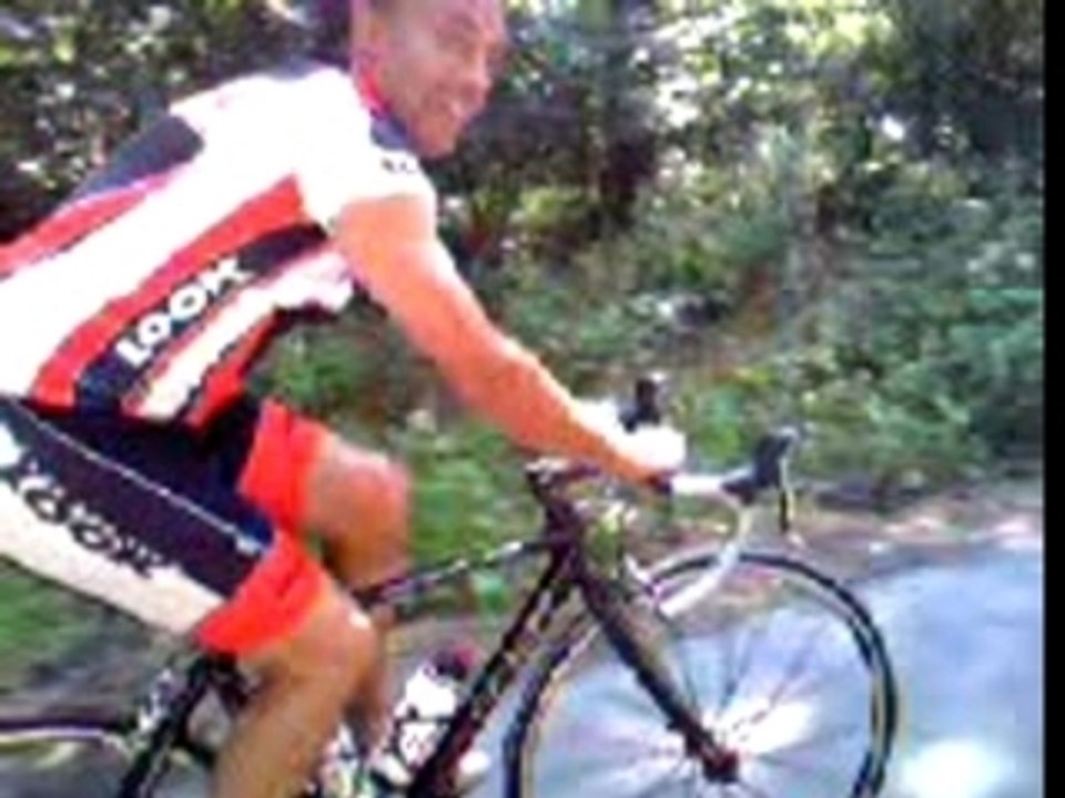 GERARD HOLTZ LOOK 595