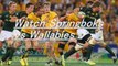 Watch Springboks vs Wallabies Live Rugby