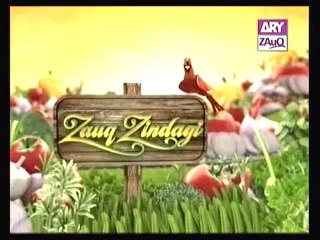 Zauq Zindagi by Sara Riaz and Dr. Khurram Musheer, Bar B Q masala, Bar B Q Chicken and Chicken Bread, 27-09-13, part 2 of 2