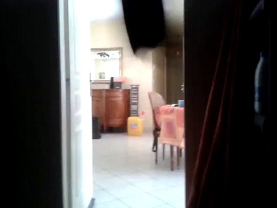 Caly, ma calopsitte eam : Même pas peur du noir !