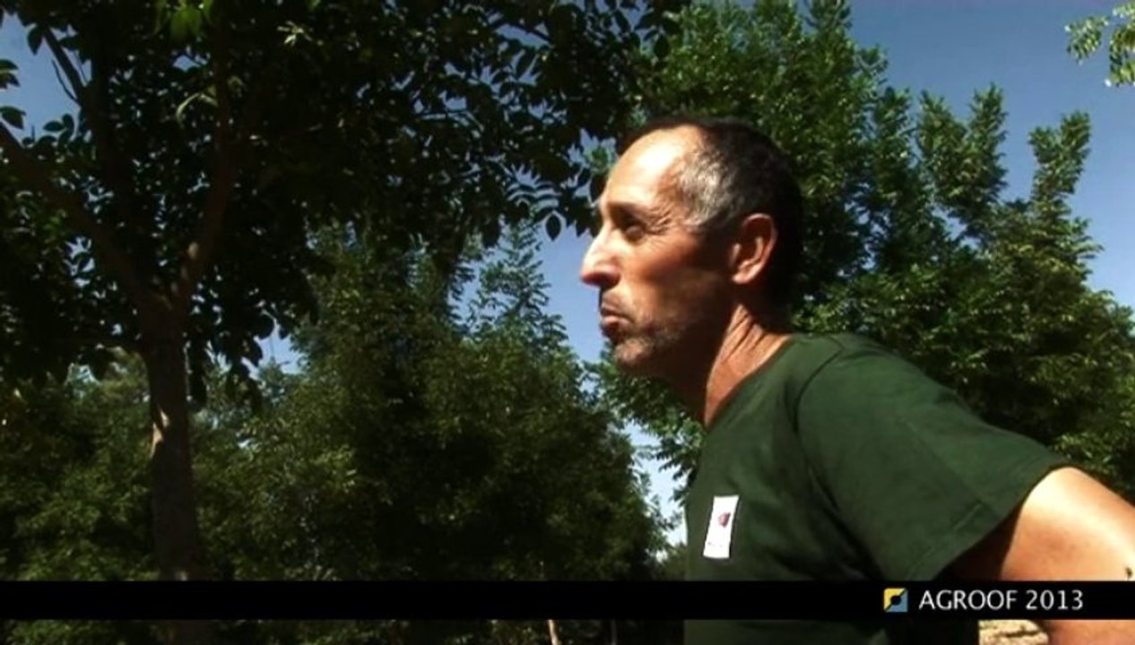 ITW3 guy Rousseau - cahierDVD PLANTATION/TAILLE - agroforesterie