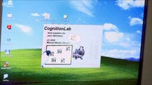 BBC Clever Dog Lab