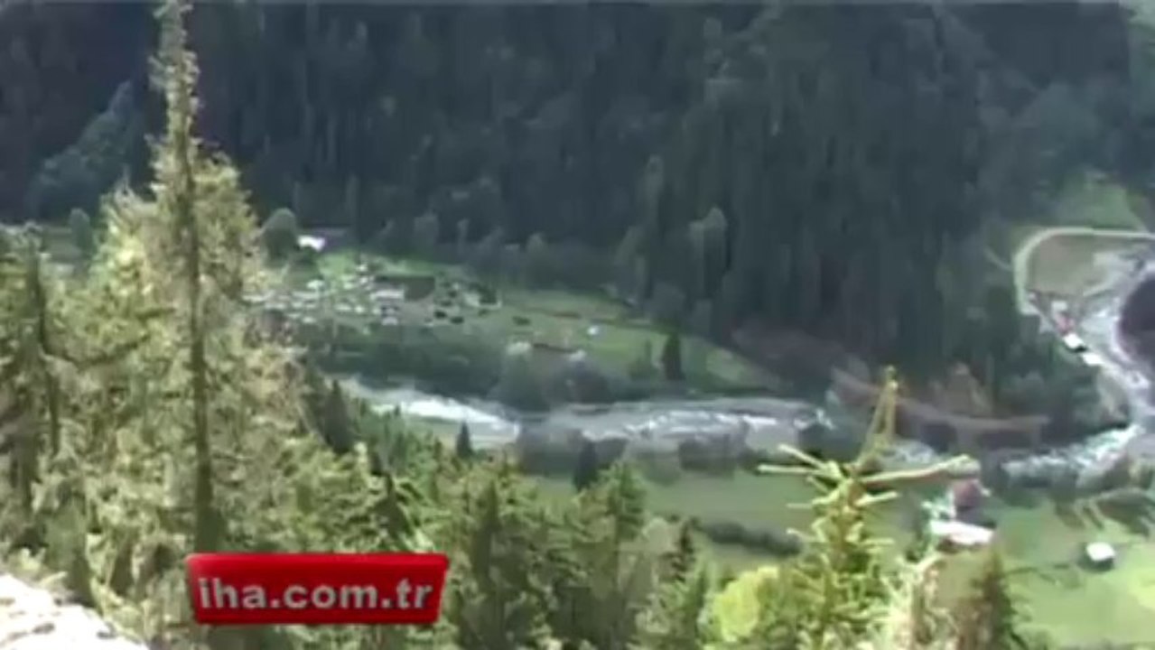 Rize’de Aç Bir Ayı Alabalık Çiftliğini Bastı VİDEO - www.olay53.com