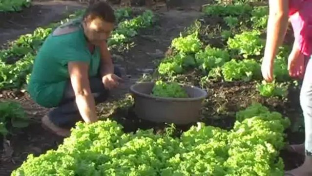 entraide et fraternité 2013