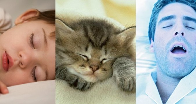 Taking Naps Makes You Smarter, Healthier, And More Productive