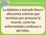 Revertir La Diabetes l Diabetes en Adultos Mayores