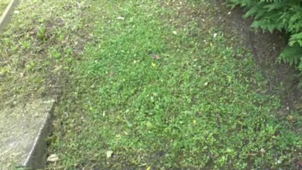 LES  W-D.D. MICHOU NEWS - 27 SEPTMBRE 2013 :  LE TURBO EST MIS SUR LE CHANTIER DU S.N. - ET UNE SURPRISE...