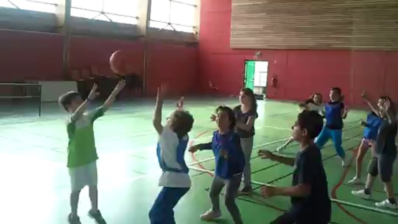 Basket2 bis
