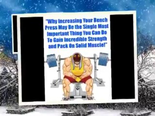 Critical Bench Program 2 Download