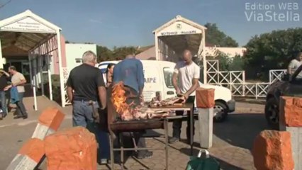 Fièvre catarrhale: action coup de poing des éleveurs corses