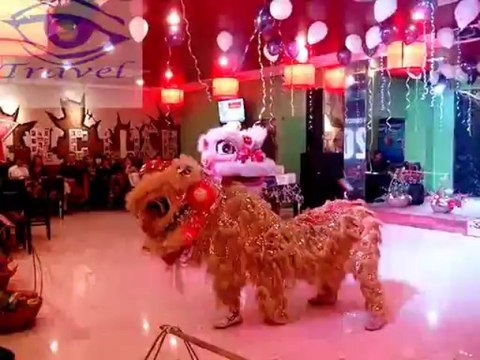 Cho thuê múa lân khai trương LH 0968 168 724