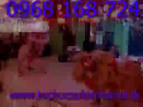 Cho thuê múa lân khai trương LH 0968 168 724