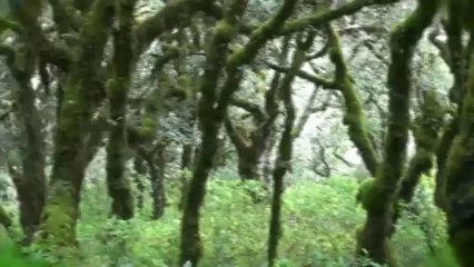 Conexión Jr. (Sierra Gorda)