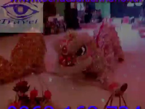 Cho thuê múa lân khai trương LH 0968 168 724