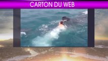 Buzz : Un homme nage avec les requins