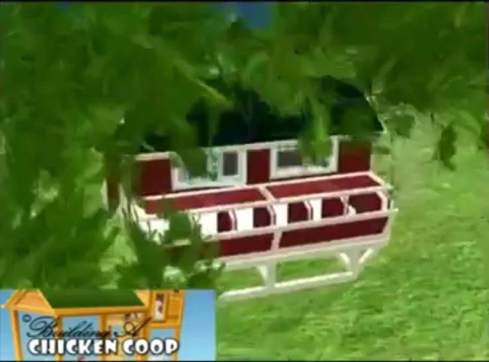 Building a Chicken Coop