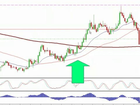 Trading Forex Live- Forex Room, Forex Signals - Forex Mentor