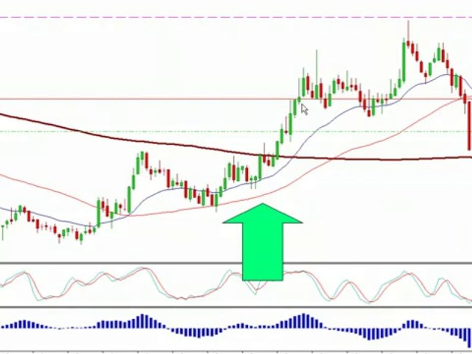 Trading Forex Live- Forex Room, Forex Signals - Forex Mentor