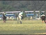 Royal sport of Horse Polo in National Capital - Delhi