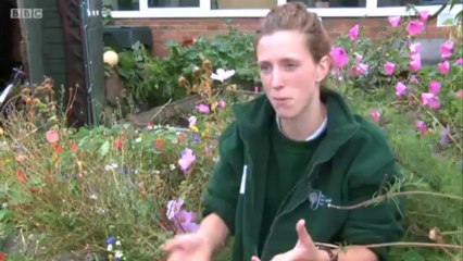 BBC Look North - North East & Cumbria - 25/9/13