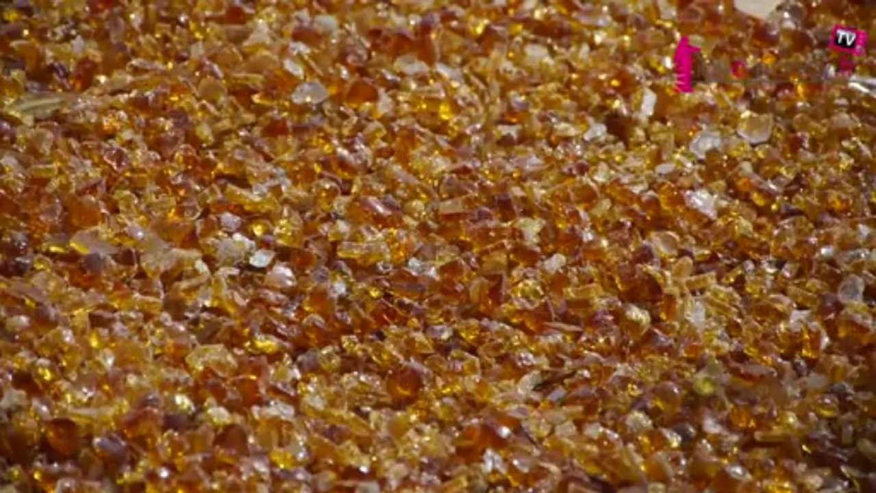 10 ans de Jardins Ephémères à Nancy