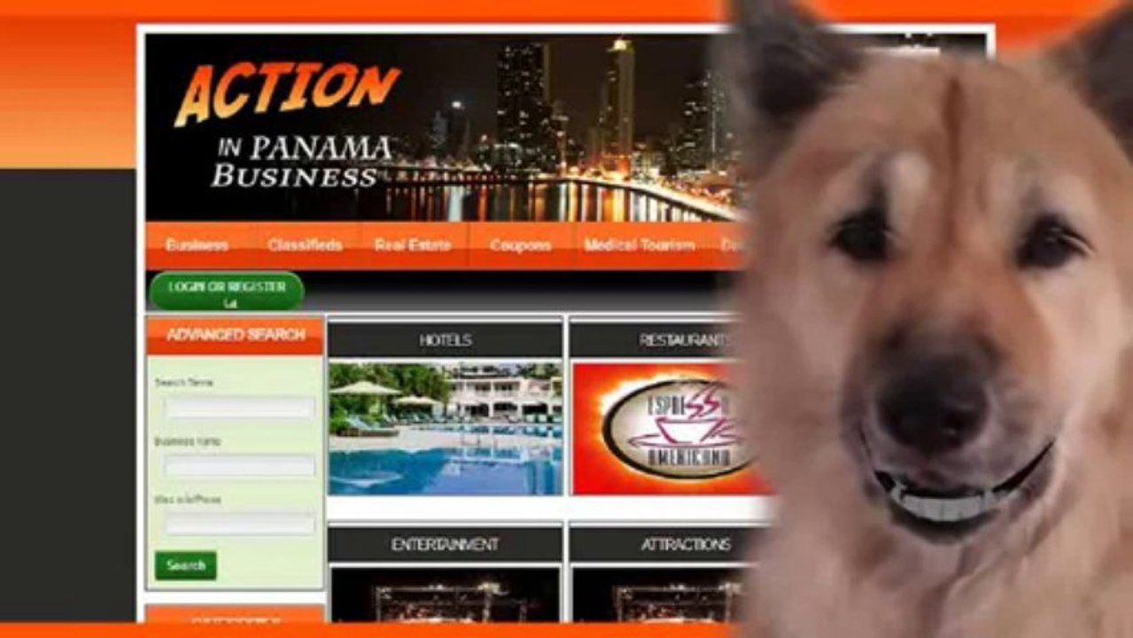 Business Directory  en PTY Business Directory