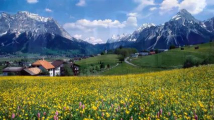 MUA TIVI CŨ ĐT 0989802706