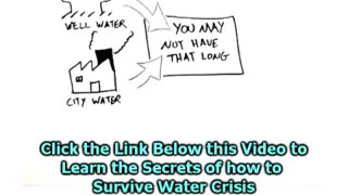 Survive water crisis. How to survive a water crisis