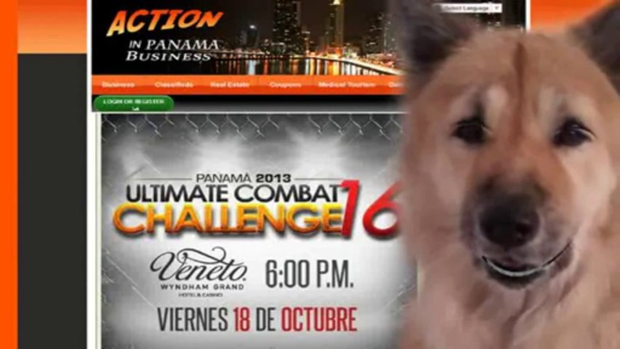 Business Networking  en panama Business Networking