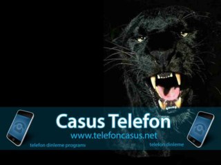 Casus Telefon Forum