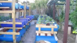 How to Make at Home Aquaponics 4 You - FREE Download