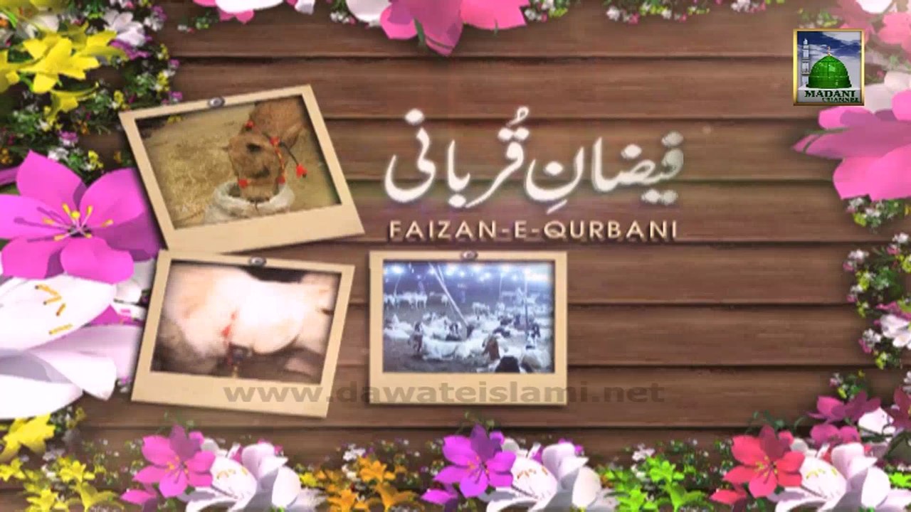 Faizan e Qurbani Ep 02