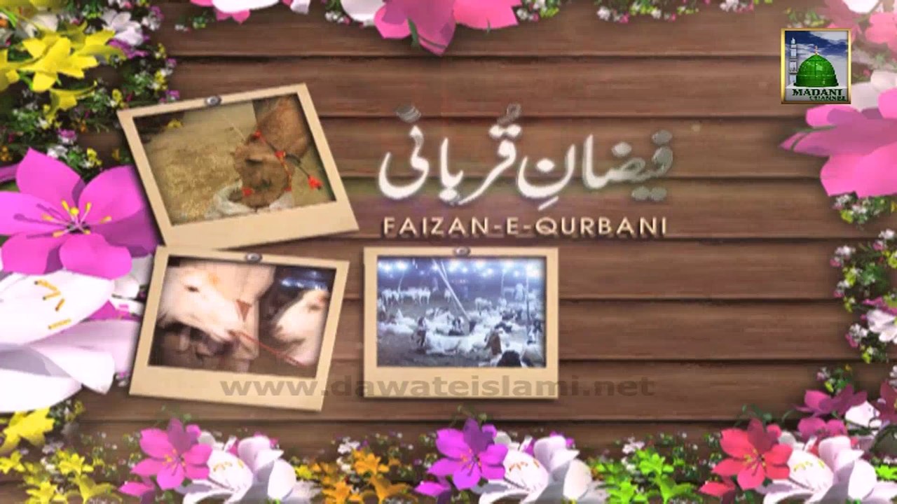 Faizan e Qurbani Ep 05