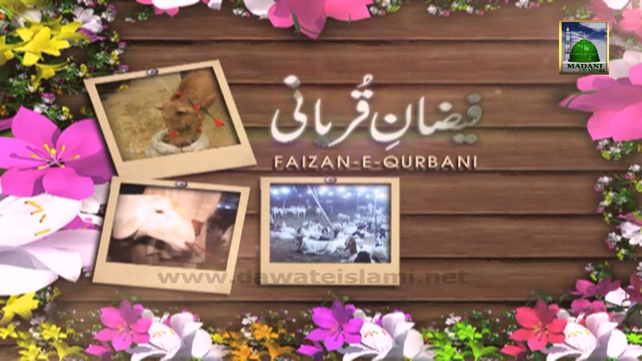Faizan e Qurbani Ep 04