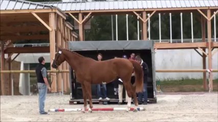 Anakynn local d'automne St Lô 19 septembre 2013