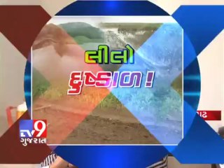 Скачать видео: Tv9 Gujarat - Heavy rainfall damages kharif crops in Gujarat