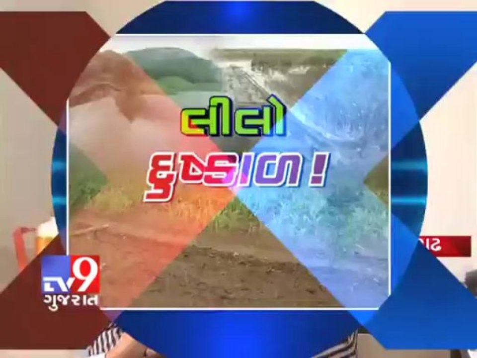 Tv9 Gujarat - Heavy rainfall damages kharif crops in Gujarat