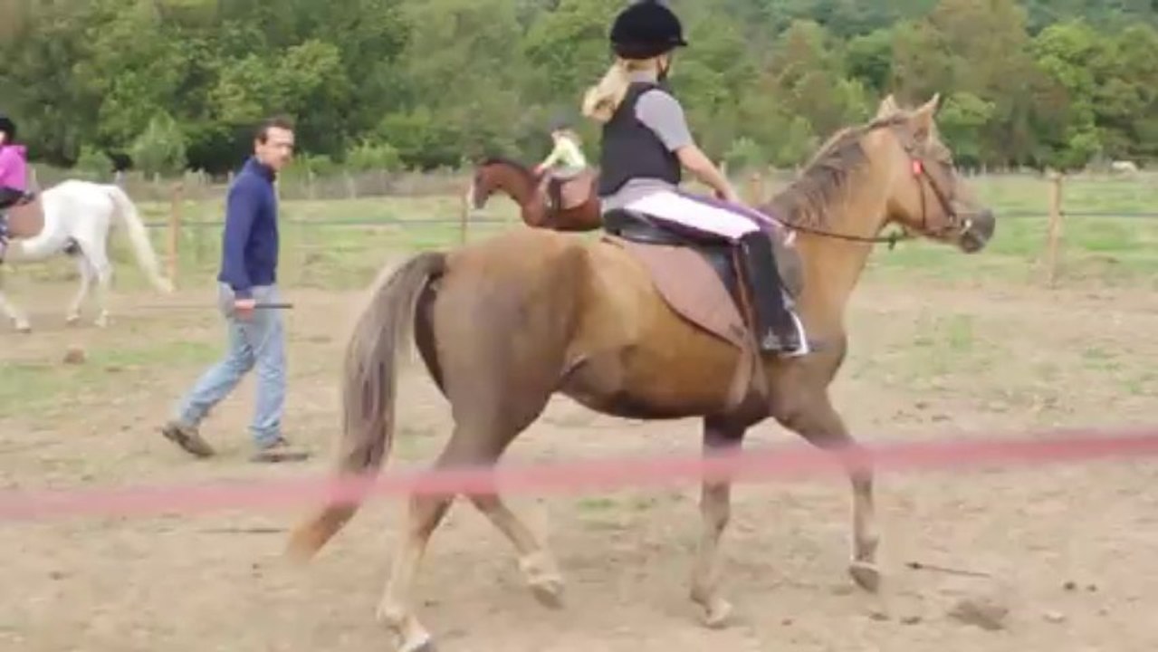 8 ans sur Speedy