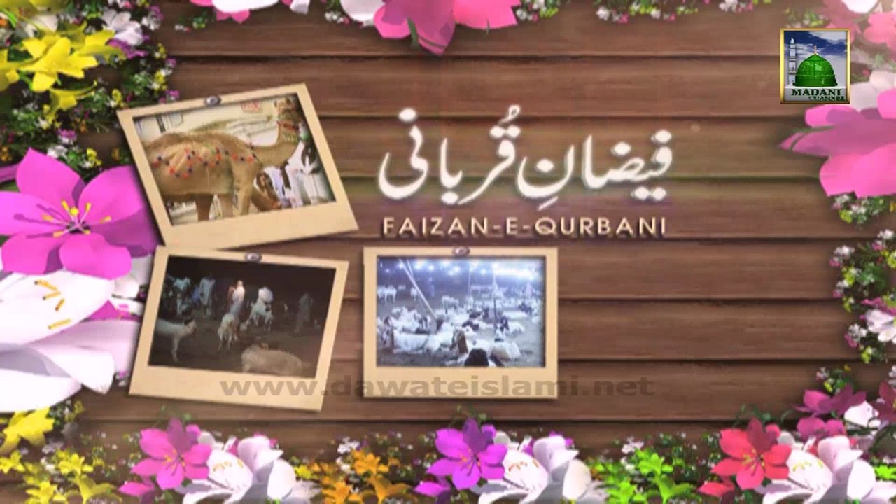 Faizan e Qurbani Ep 06