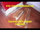 Water Damage Restoration Tampa, Clearwater