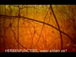 Hersen functies, waar zit wat ....
