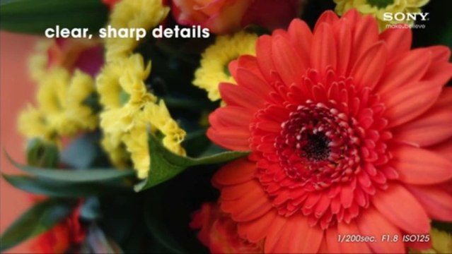 Sony ... Exmor CMOS Sensor Digital Camera with 3.6x Zoom Attract