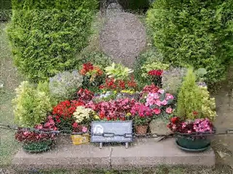 LUIS MARIANO : Le chanteur de Mexico, diaporama photos de l' artiste et du film avec Bourvil et Annie, Cordy..!