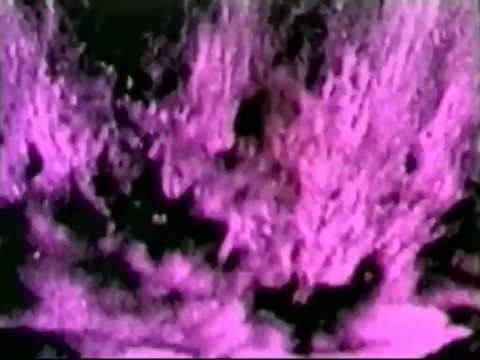 Dragana Mirkovic - Stani, zlato, stani, duso