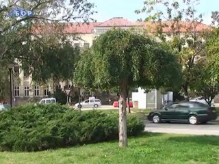 U Negotinu se završava jesenja sadnja sezonskog cveća, 28. septembar 2013.