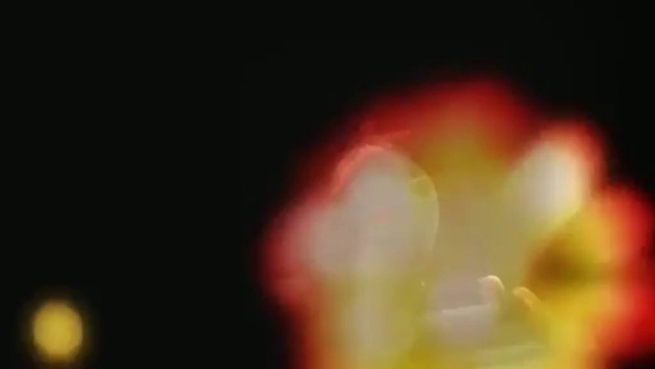 The Official No Red Face Formula | Asian Flush Cure