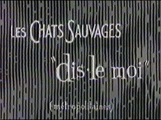 Les chats sauvages - Dis le moi