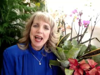 Longevity Garden Benefits