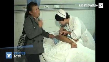 Un vague d'attaques de frelons géants tue 28 personnes en Chine