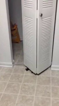 Dumb cat gets stuck and meows behind cabinet open door!!